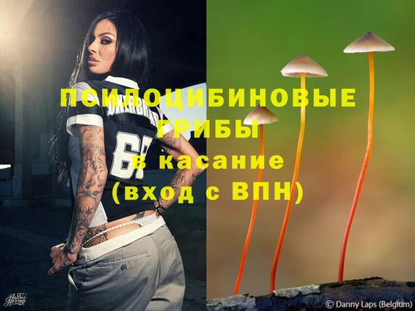 дживик Богданович