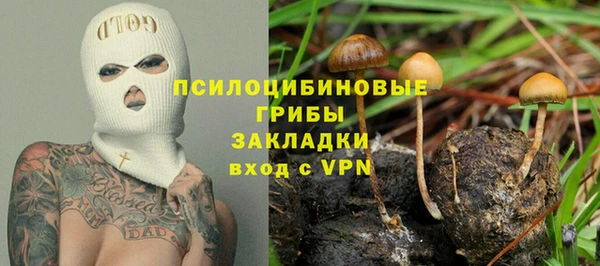дживик Богданович
