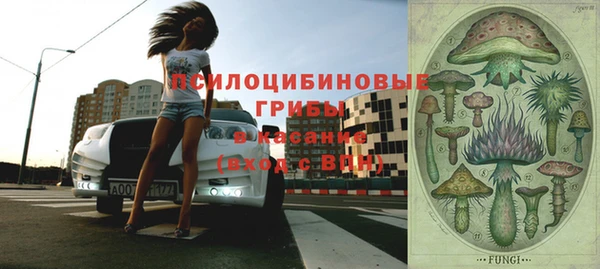 дживик Богданович