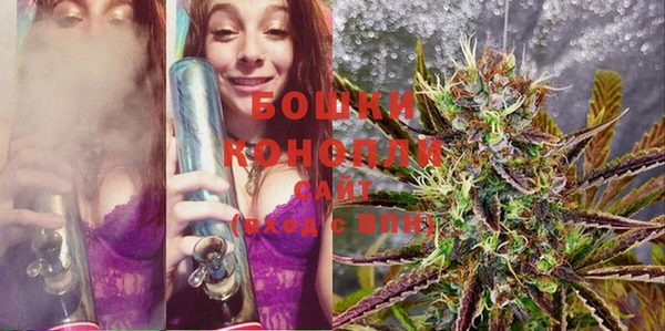 дживик Богданович