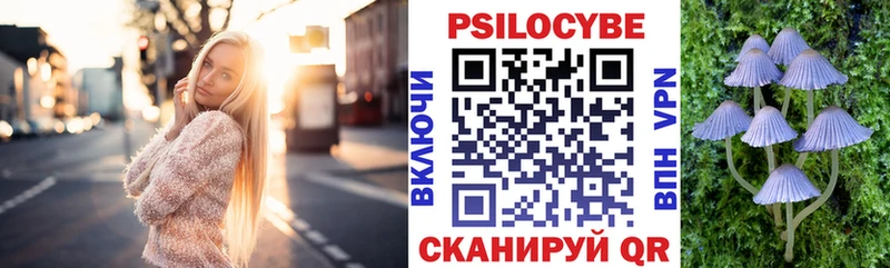 Псилоцибиновые грибы Psilocybe  Купить  Белореченск 